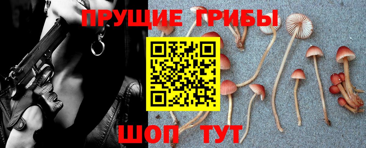 Аргун  Альфа ПВП СОЛЬ кристаллы  МАРИХУАНА  Меф МЯУ МЯУ кристаллы  Лсд 25  Вход с VPN  Гашиш 